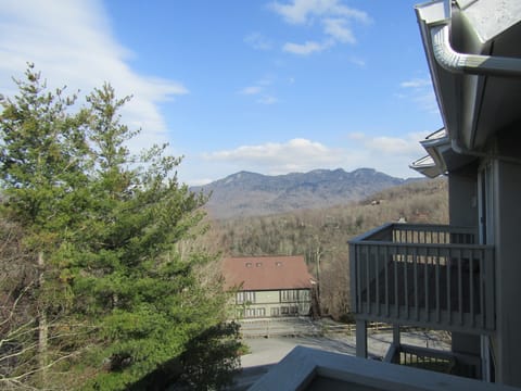 Skyleaf E_17 Apartment in Sugar Mountain