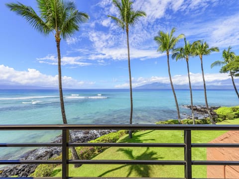 coconut trees sway along the ocean