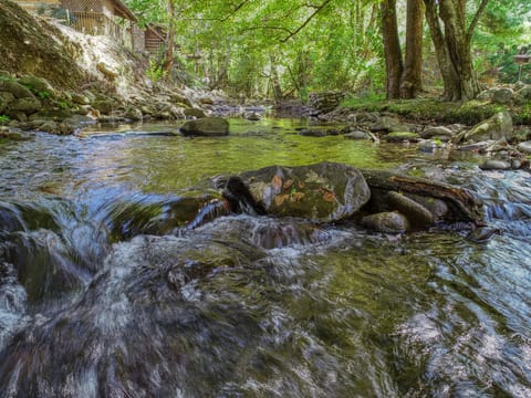 2020 Land of Promise. Cosby FULL RES a (4 of 13)