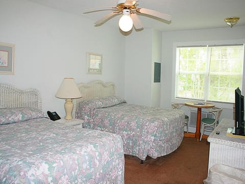 Ceiling Fan