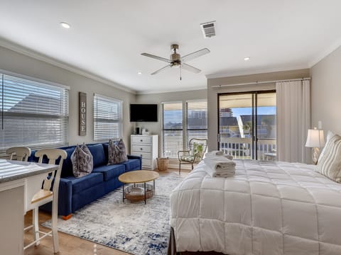 Living room/Sleeping Area