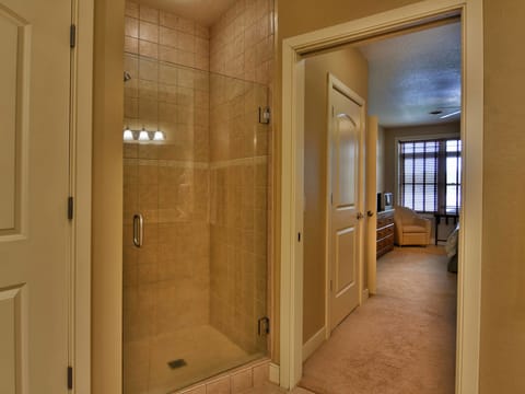 Unit 411A 1 BD/ 1 BA condo Apartment in Wisconsin