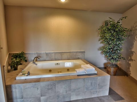 Unit 312 1 BD/ 1 BA condo Apartment in Wisconsin