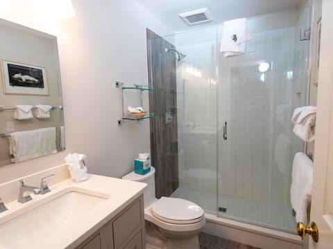 Modern & Updated Winterplace 3Br- Sleeps 12 Apartment in Vermont