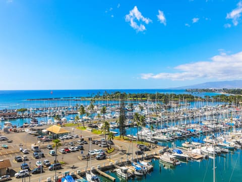 Harbor