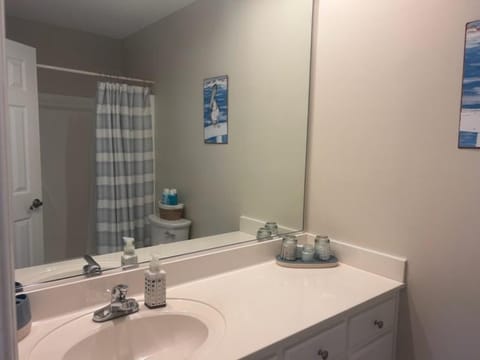 Lower Level Hall Bathroom
