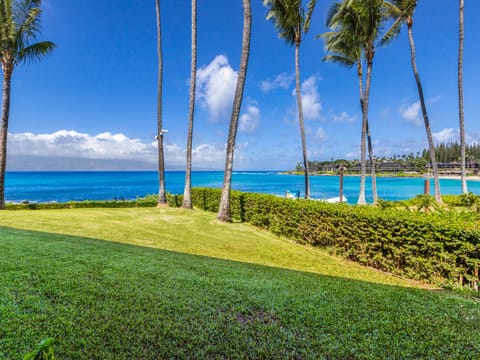 your view from your private ground floor lanai