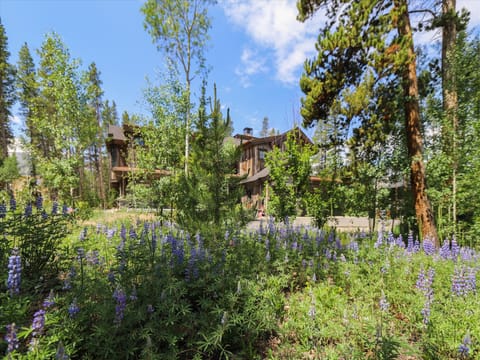 Exterior - Shock Hill Retreat - Breckenridge Vacation Rental