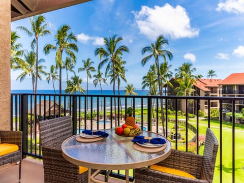 view from the lanai