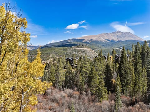 Exterior, Snowflake Lookout, Breckenridge Vacation Rental