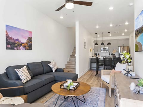 Living and Kitchen Area
