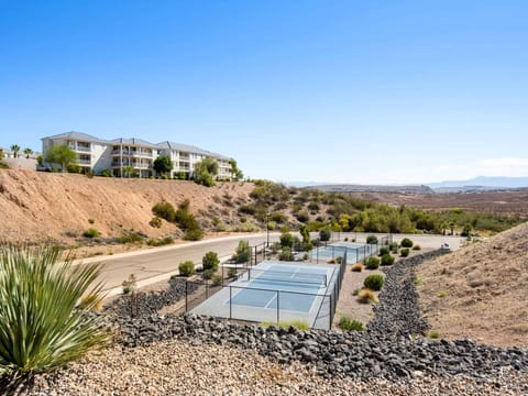 2 Community Pickleball Courts