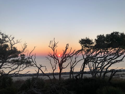 Nature