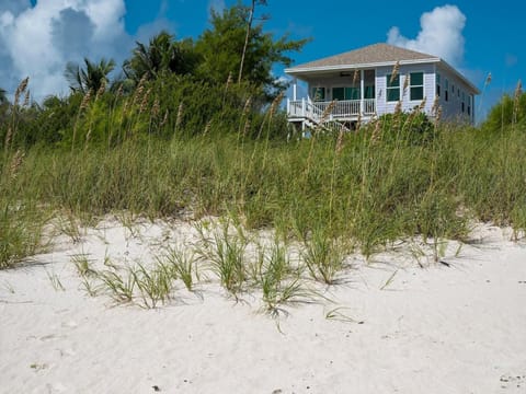 Welcome to Lavender Beach House.  Perched above a two-mile-long pink-sand beach with just 5 other houses along the entire length of the beach.