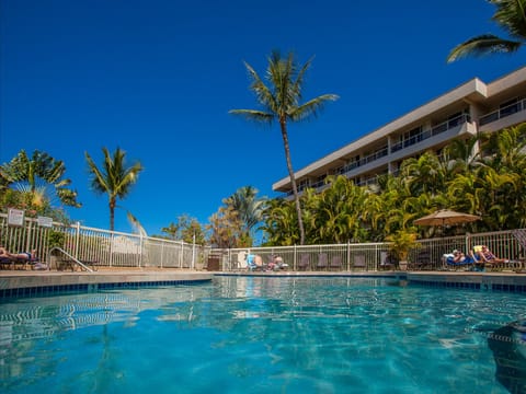 Sparkling pool surrounded by swaying palms and tropical greenery, with the main building just steps away under sunny skies.