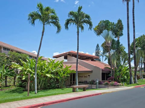 Kamaole Sands Welcomes you and your O'hana (family).