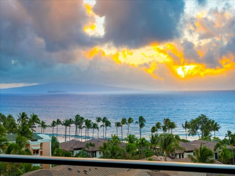 Spectacular sunset views paint the sky in golden hues while swaying palms frame the endless ocean below, creating the perfect backdrop for your tropical getaway.
