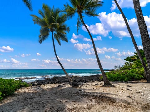 Watch the palm trees sway