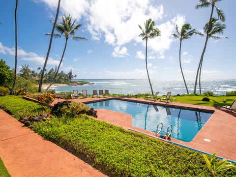 Ocean Front Pool and Garden Area