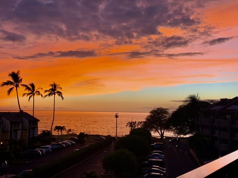 Serenity while the sky is on fire.