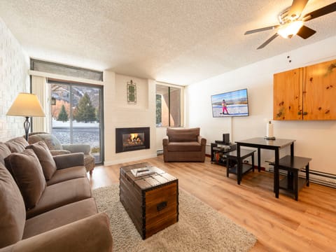 Park Avenue 1Bdrm/1Bathrm Silver - living room