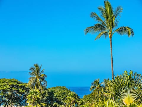 Tropical paradise awaits!