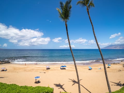 Direct beach access from Polo Beach Club!