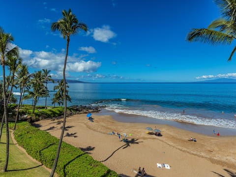 Beautiful beach right outside!