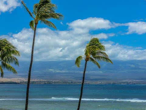 Close up view from the patio