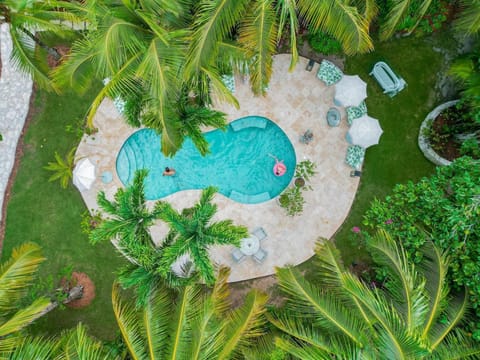 Welcome to Fig Tree Harbour Island, your island get away!