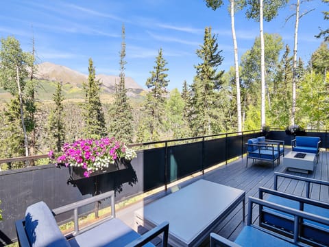 A large and spacious deck offers seating for 8+ as well as a gas fire pit and Gas BBQ grill.