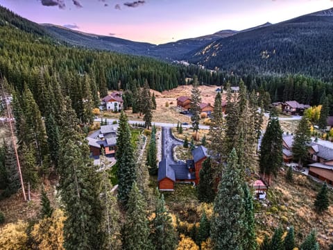 Aerial view of a small mountain village surrounded by dense evergreen forests and hills under a twilight sky. Several houses are scattered throughout the landscape.