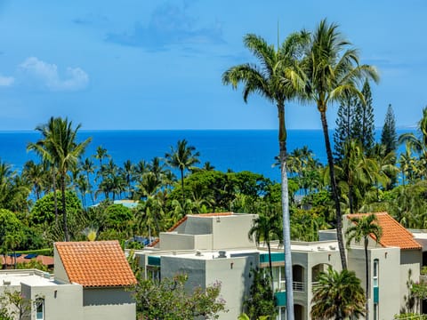 Gorgeous ocean view