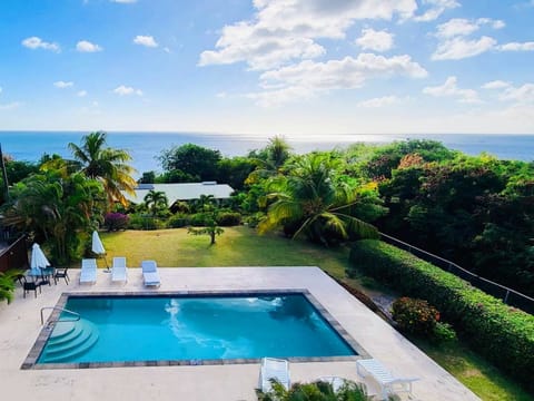 View of the pool and garden