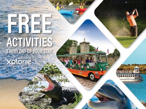 Free Daily Activities