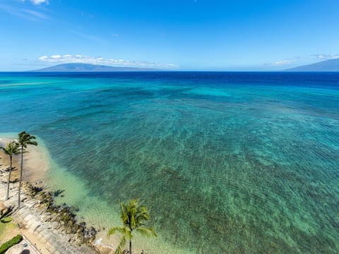Stunning aerial view showcasing the property's beachfront location with crystal-clear turquoise waters and soft sandy shore, framed by iconic palm trees.