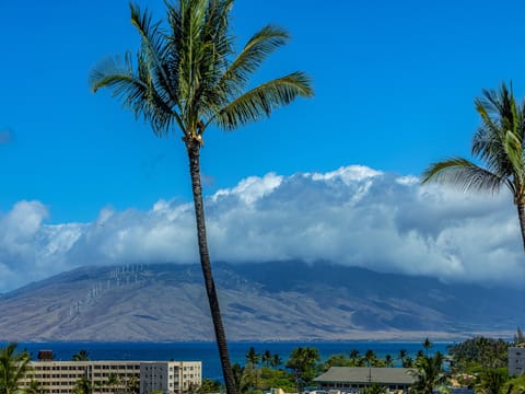Stunning mountain and ocean views frame this tropical vacation retreat, with swaying palms welcoming you to island paradise.