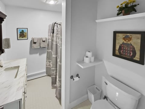 Well-lit downstairs bathroom with full step-free shower