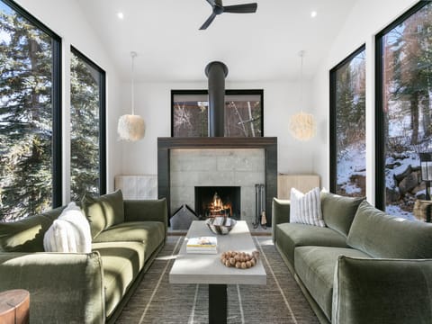Fireplace