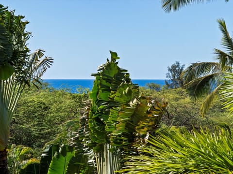Peek-a-boo ocean views from the patio