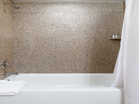 Guest Bathroom - bath/shower combo