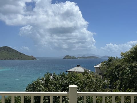 Patio View