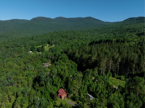 Lincoln Cabin, summer in the green mountains