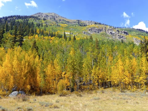 Direct access to National Forest trails — no driving required to start your adventure.