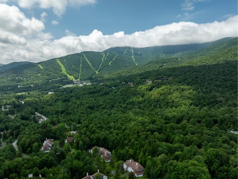 Modern townhome just minutes from Sugarbush