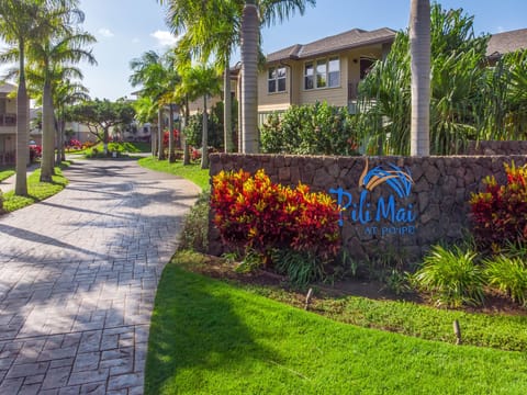 Welcome to Pili Mai!