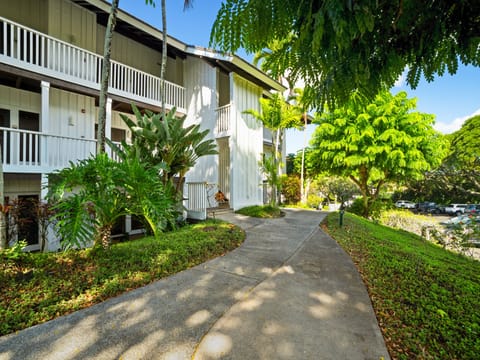 Welcome to Kiahuna #418