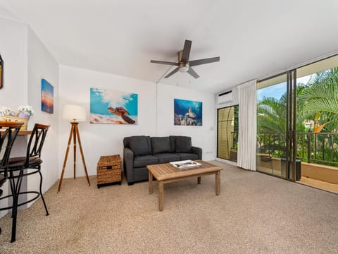 Enjoy the window air conditioning in the living room