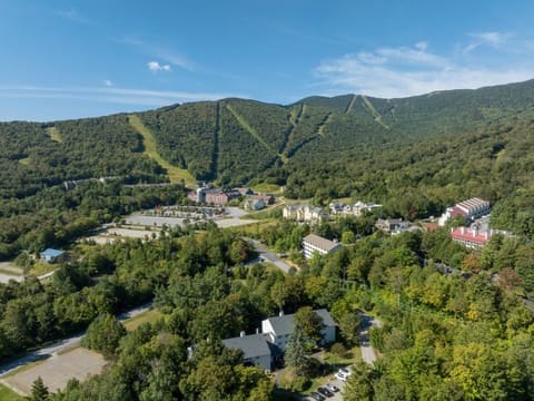 Aerial view of the ski resort area featuring the property nestled among forested mountains with visible ski slopes.