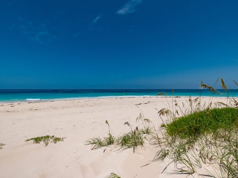 Our spectacular beach!